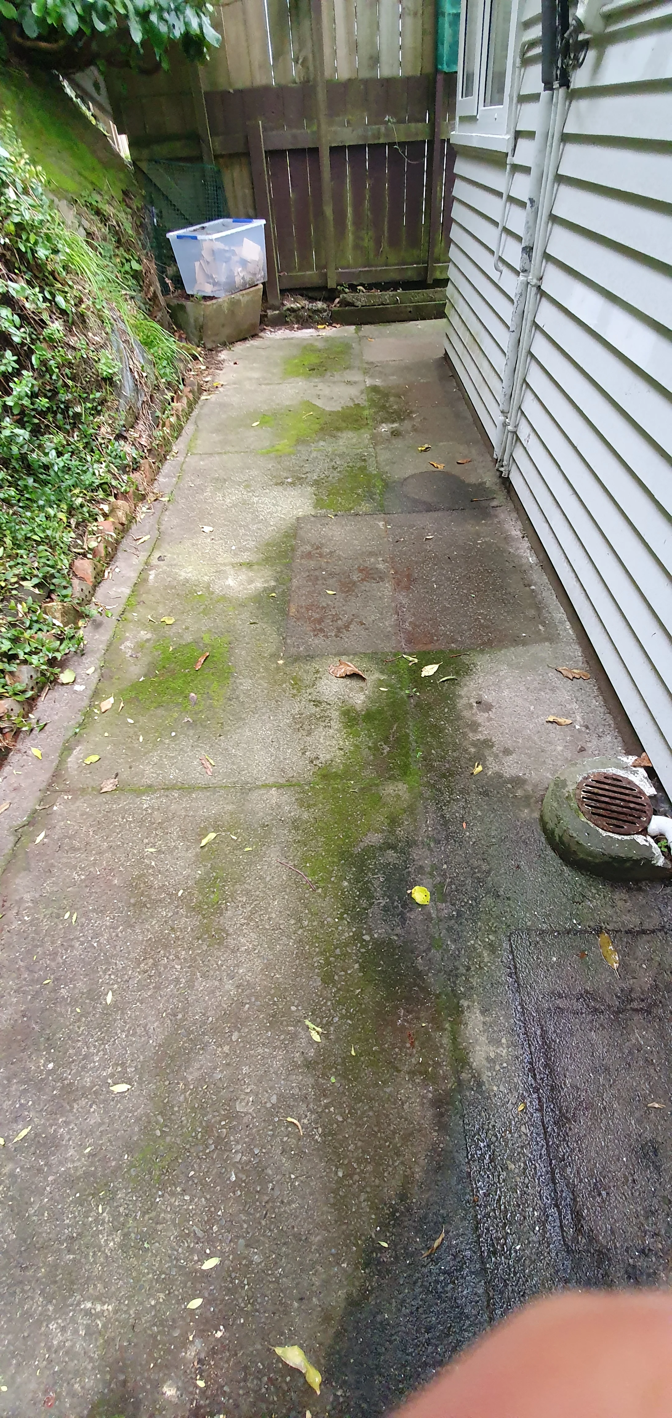 Before Behind House Wash